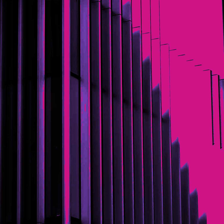 the importance of human connections at work