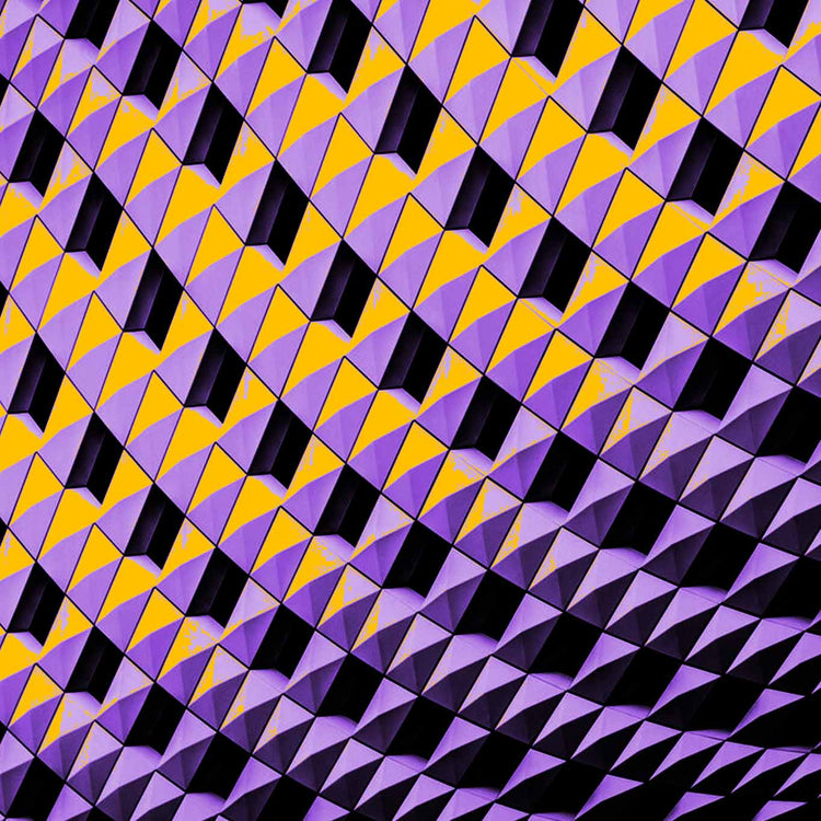 Leading with Purpose.