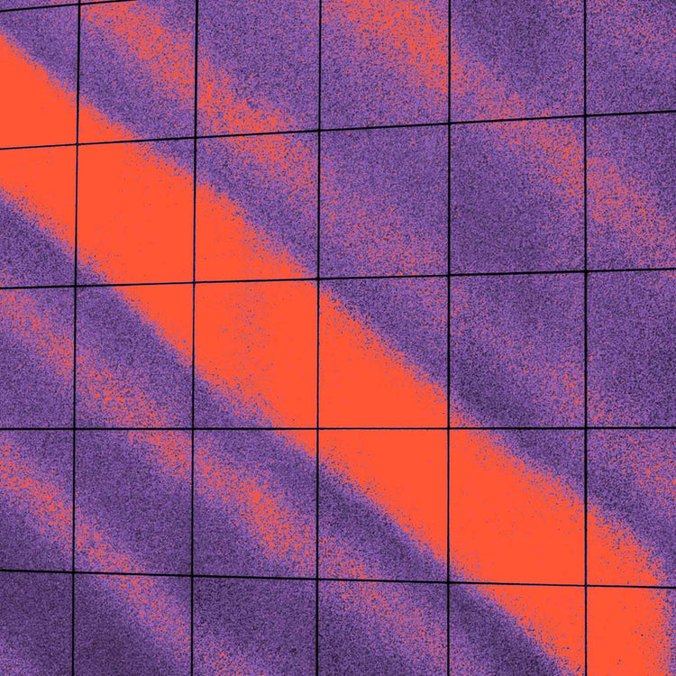 The influence of personality in your professional life.