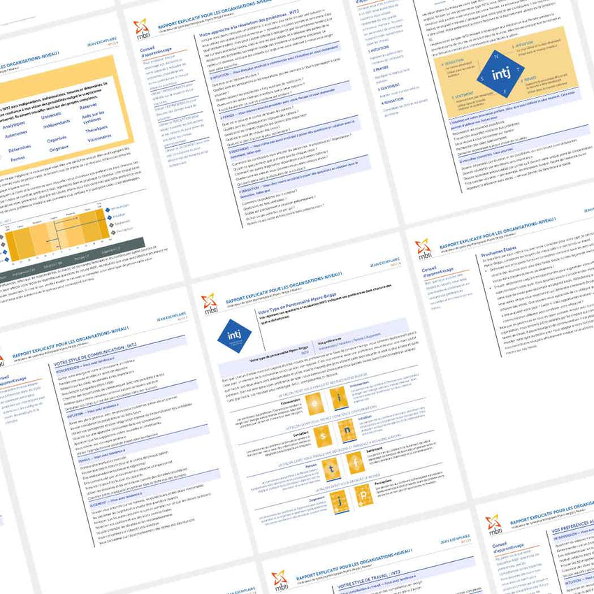 MBTI® Organisationnel