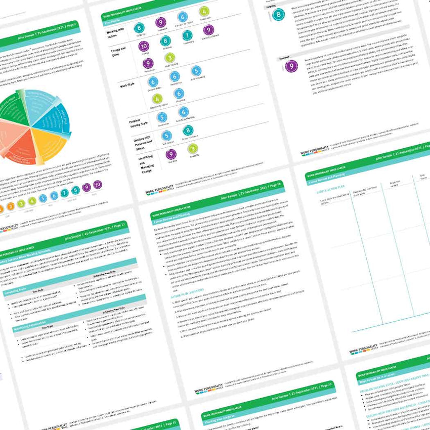 Work Personality Index®